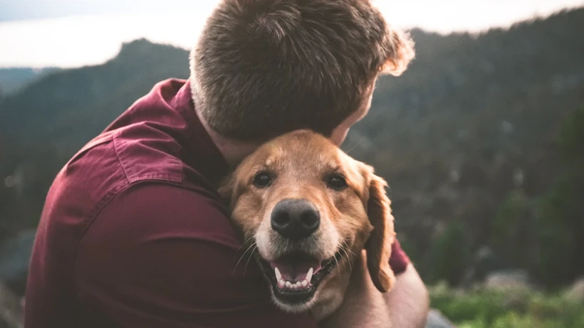 Köpek Sahiplenirken Doğru Kişiye Nasıl Ulaşılır?